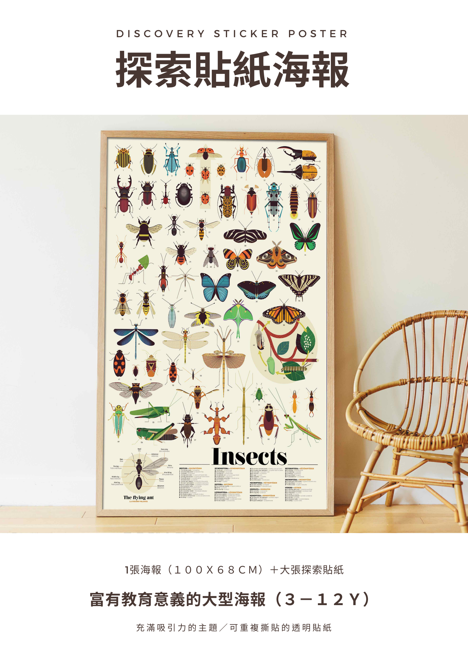 DISCOVERY POSTER.png DISCOVERY POSTER.png