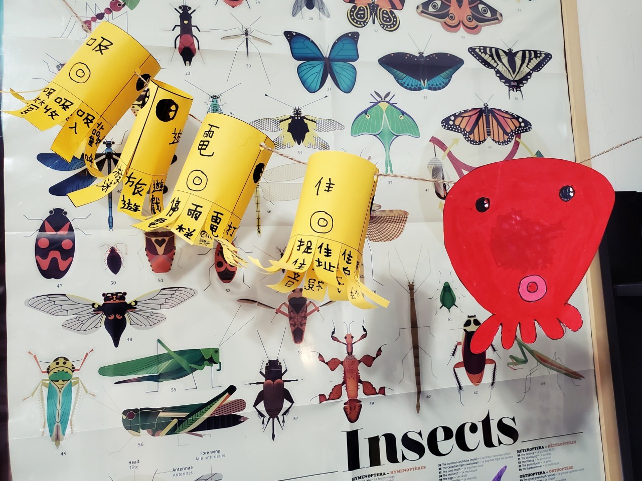 240593151_4089273774532952_5188383297030324838_n.jpg 240593151_4089273774532952_5188383297030324838_n.jpg