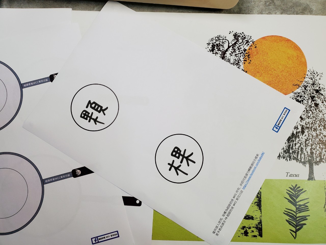 241393389_4128989840561345_6890558967860517822_n (1).jpg