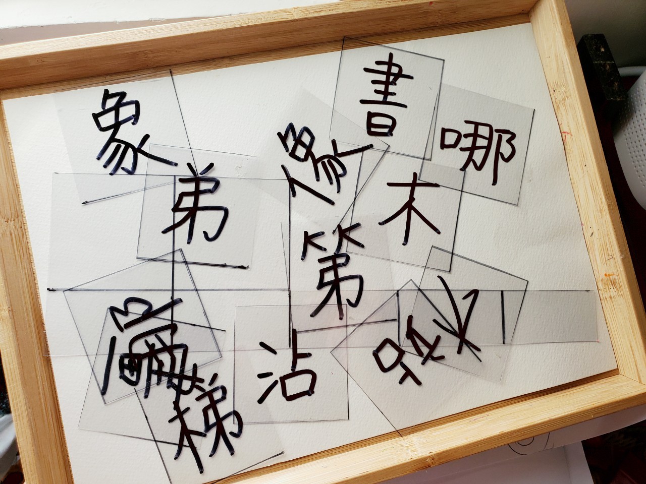 241401643_4107428022717527_1305631870814137814_n (1).jpg