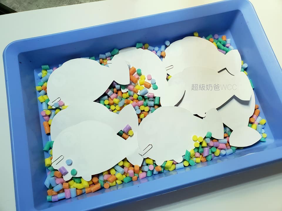 245405377_4225728200887508_6252798283171372108_n.jpg 245405377_4225728200887508_6252798283171372108_n.jpg