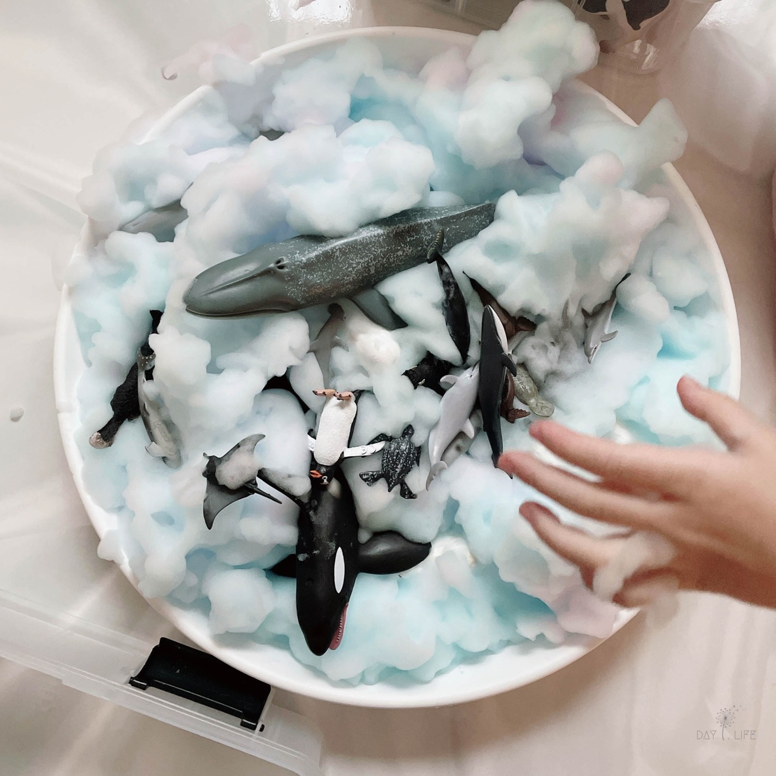 1319517be6714824a1a8b9605cd8c209.jpeg 1319517be6714824a1a8b9605cd8c209.jpeg