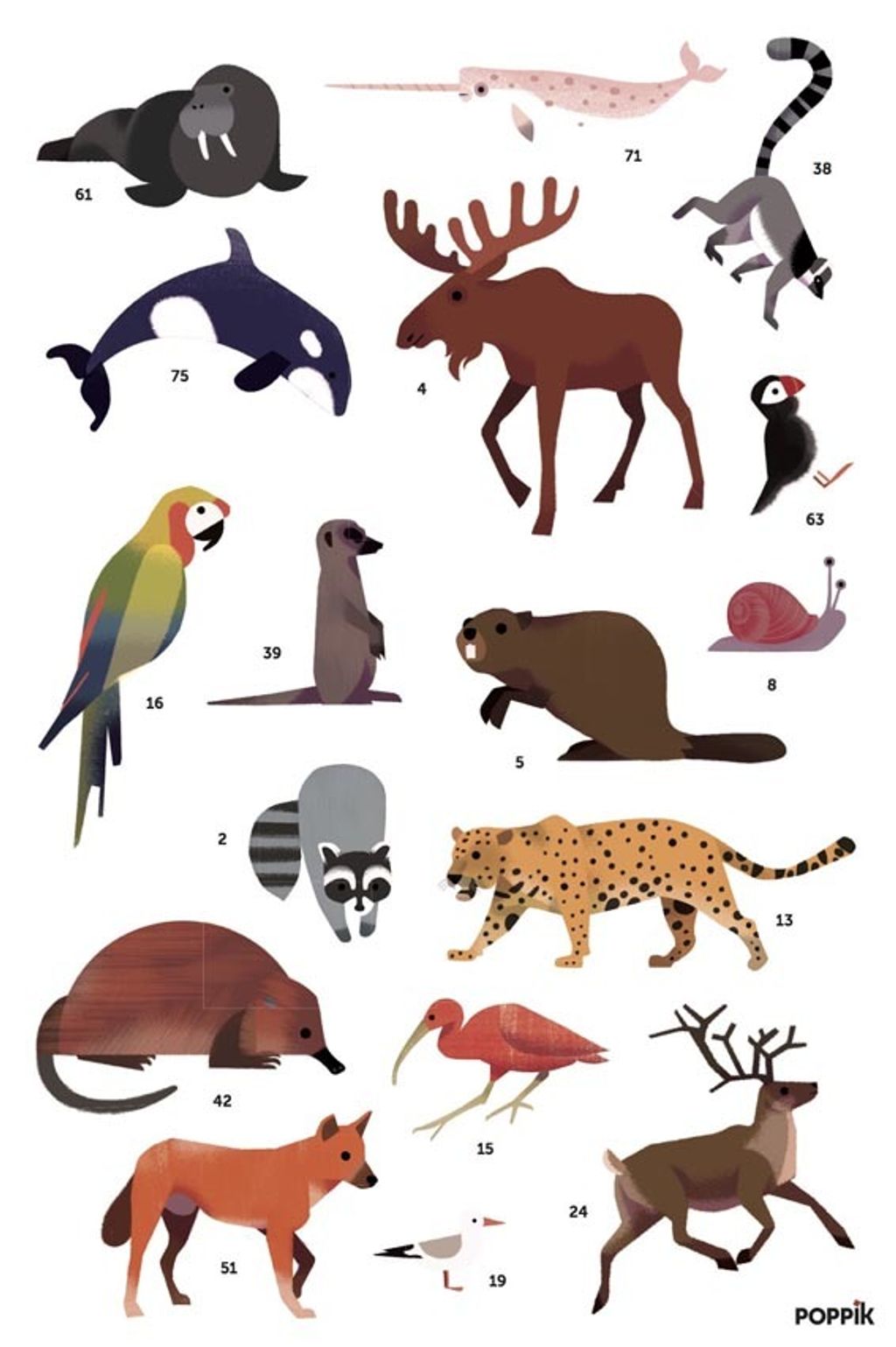 POPPIK stickers animals animaux planisphere STICKERS1.jpg