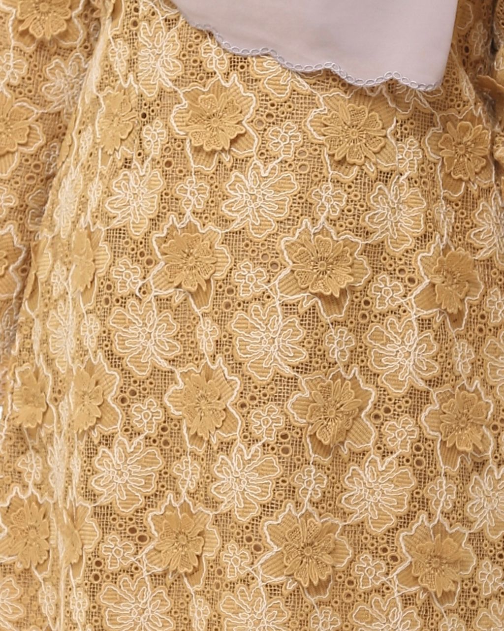 image_E42132C0-DD76-48A5-9AE8-688749AFFA09_1766896839