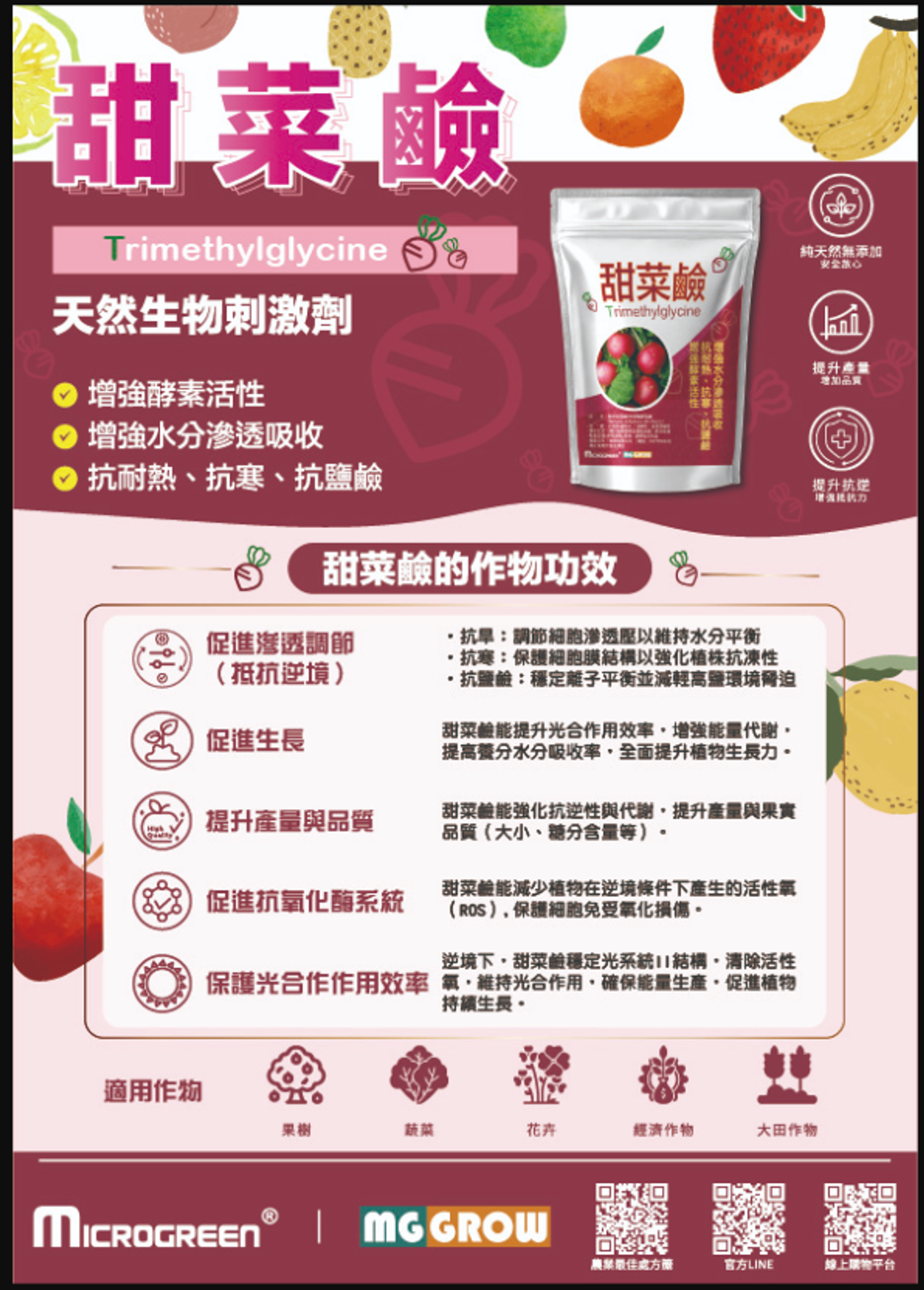 甜菜鹼