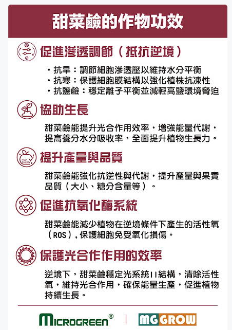甜菜鹼酸6