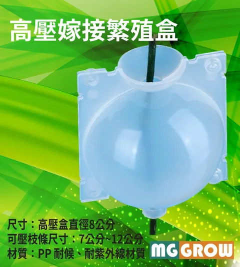 封面-01
