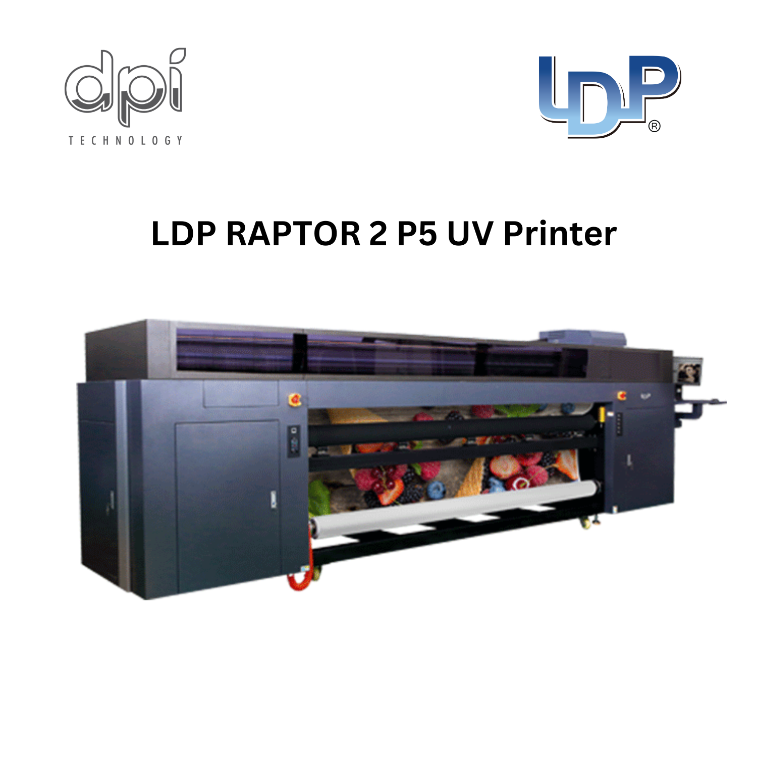 LDP Raptor 2 P5 UV Printer