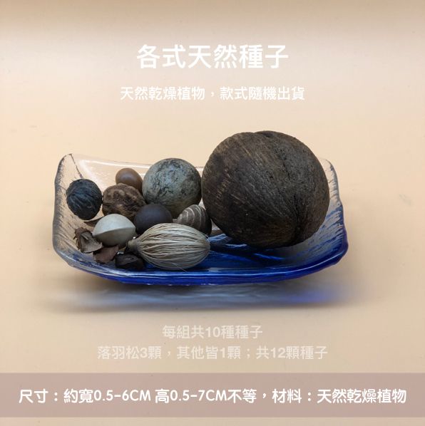 各式種子超值組合.jpg