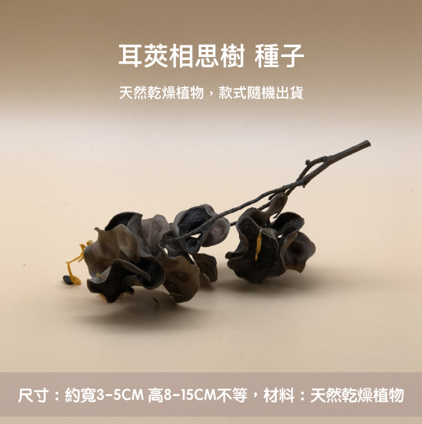 20190520.005.jpeg