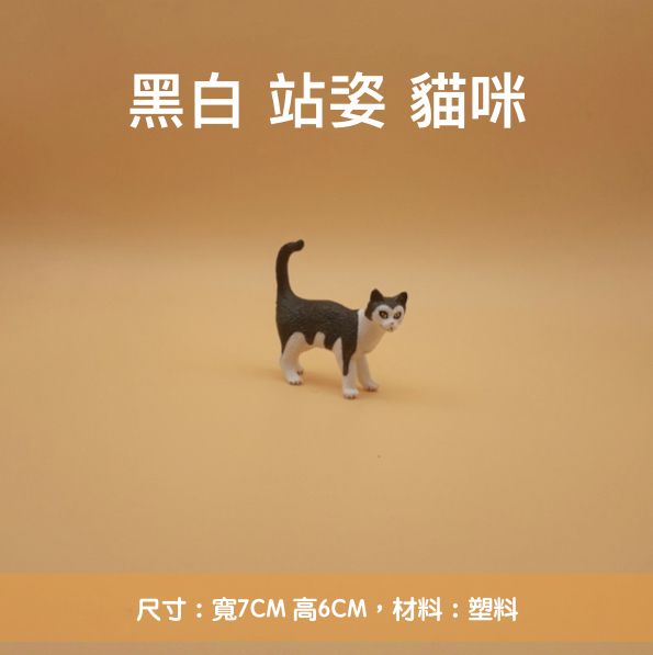 20180720.005.jpeg