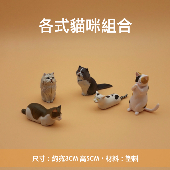 20180802.012.jpeg