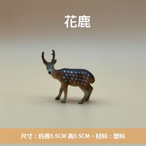 20190217-2.011.jpeg
