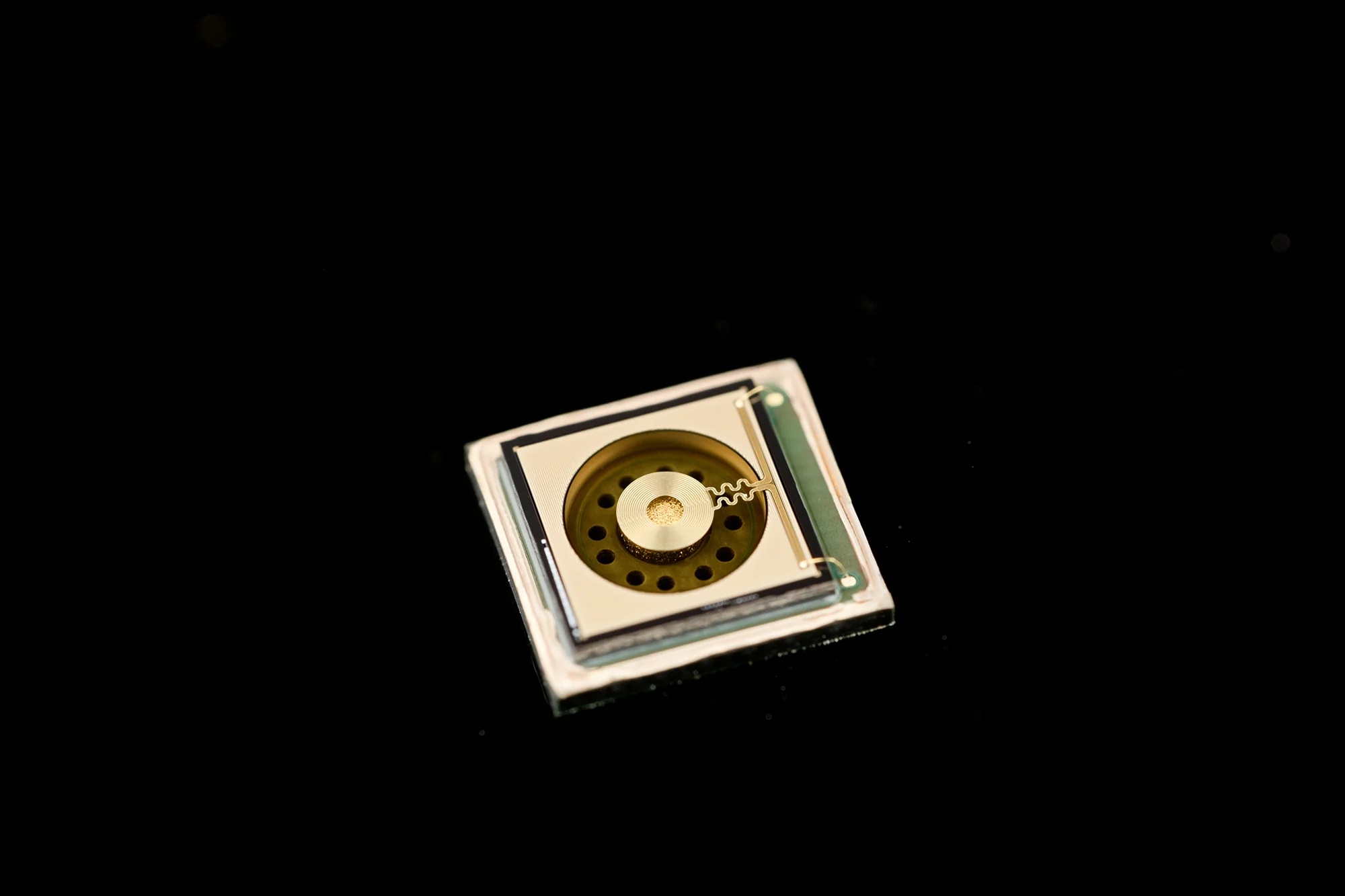 DSCF1713