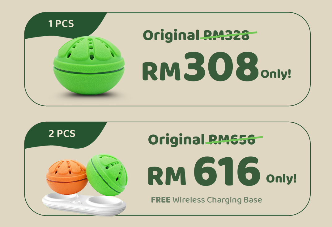 Washwow Price