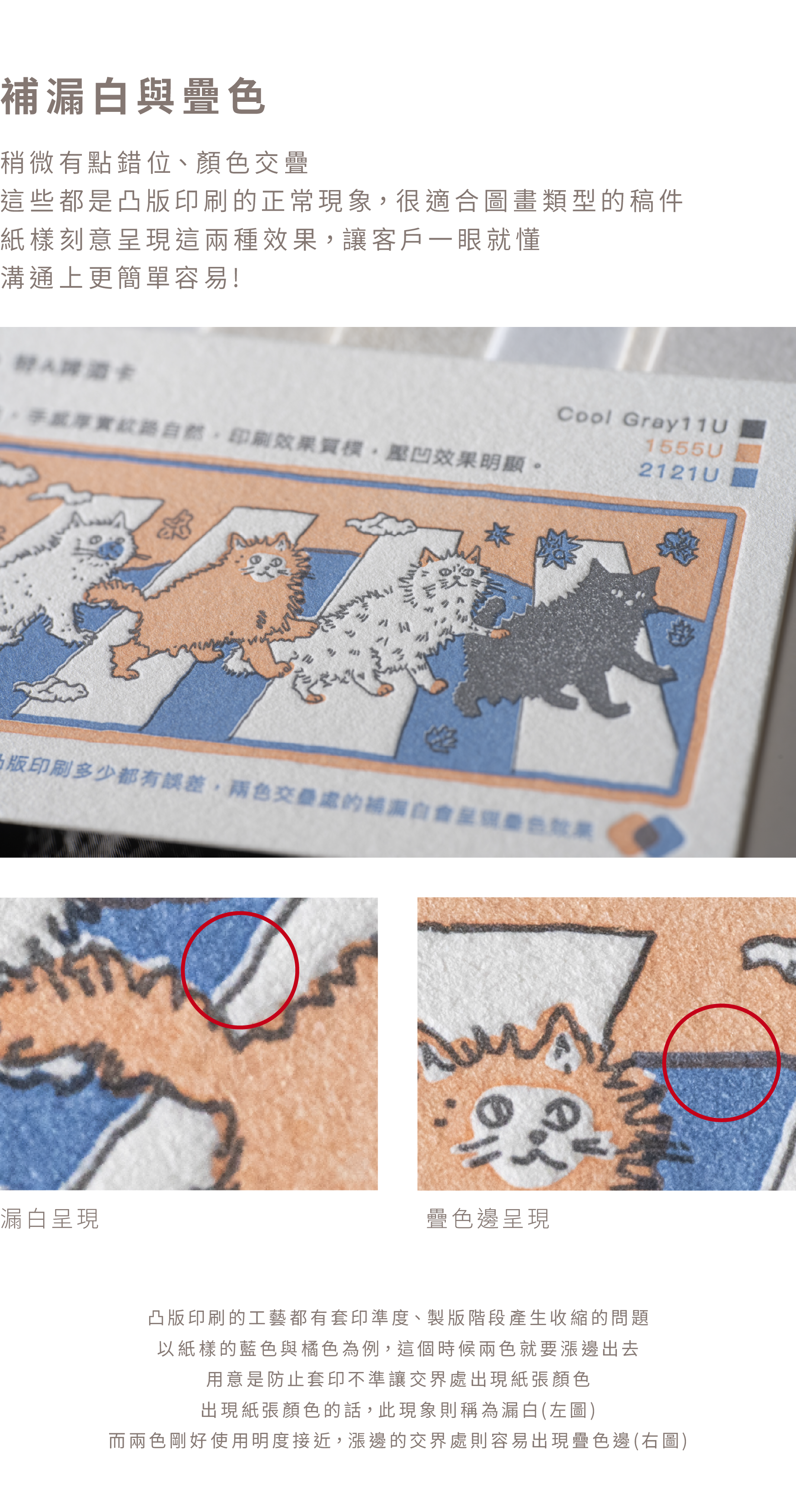 預購版本_白色紙樣3.0PLUS_商品頁-06