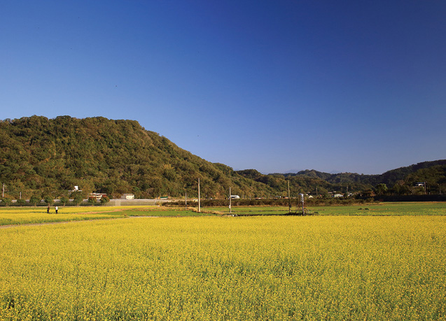 三義鯉魚社區(歐都納httpswww.atunas.com.twtwoutdoorarticle)