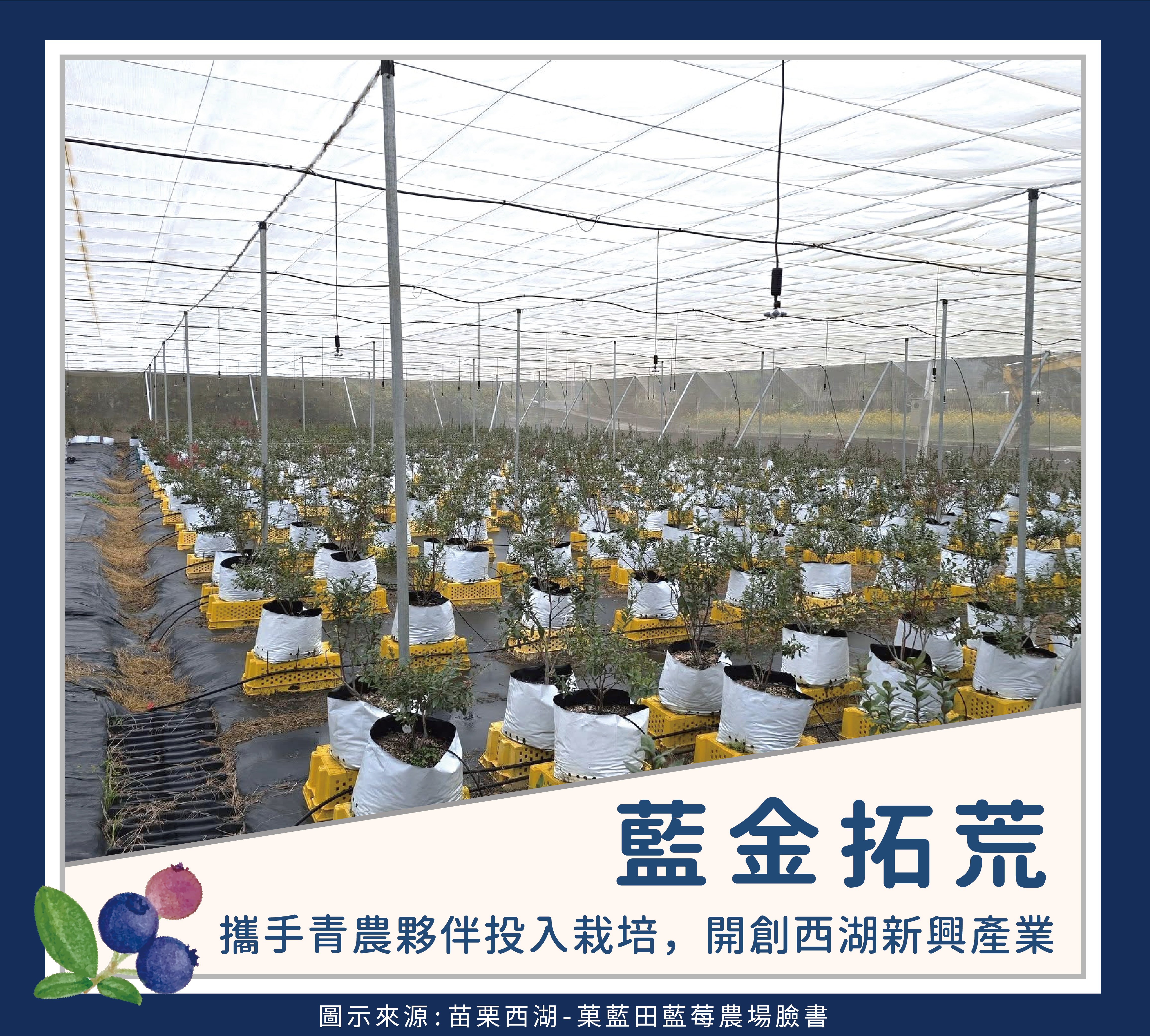 故事圖卡-11