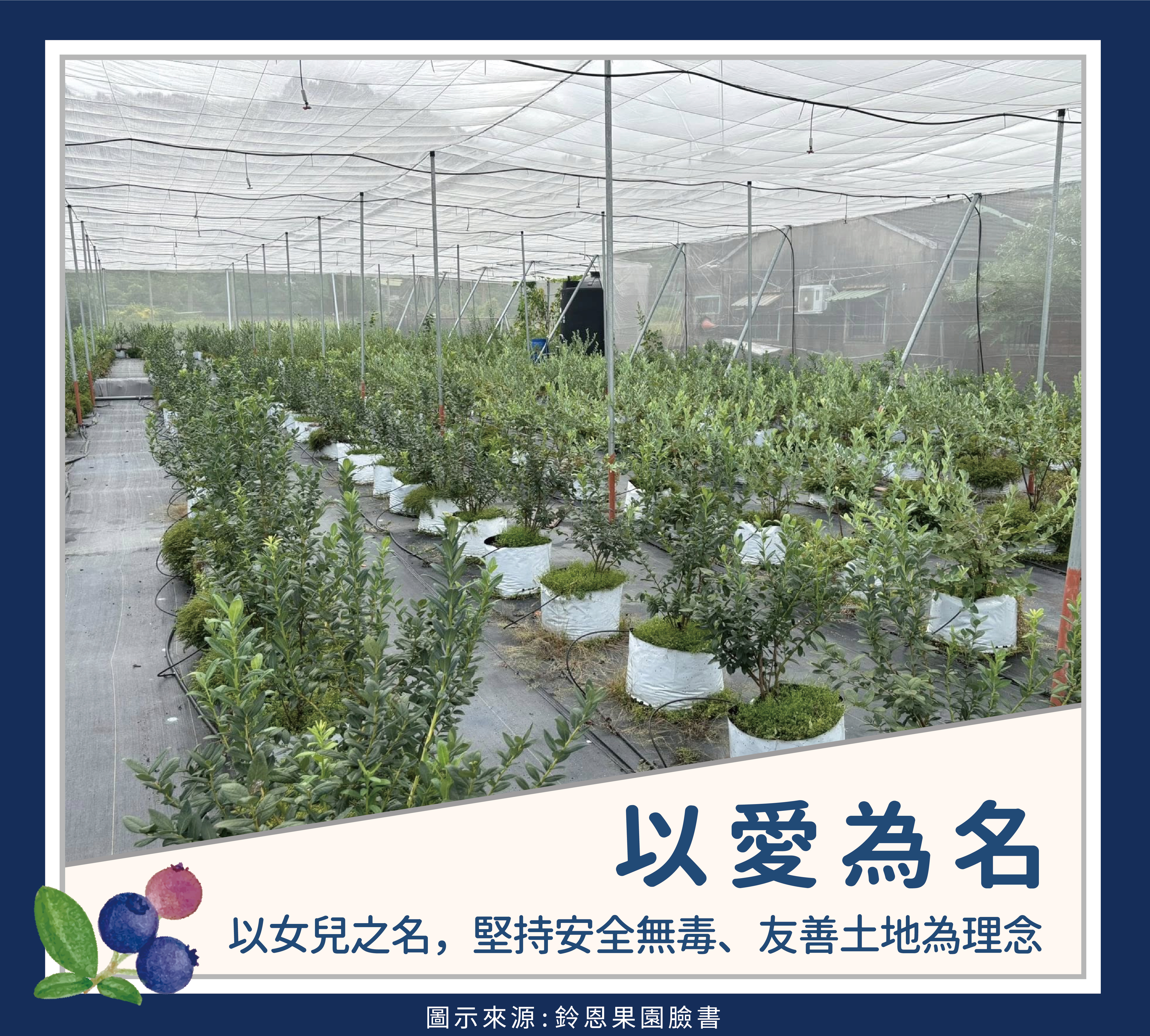 故事圖卡-15