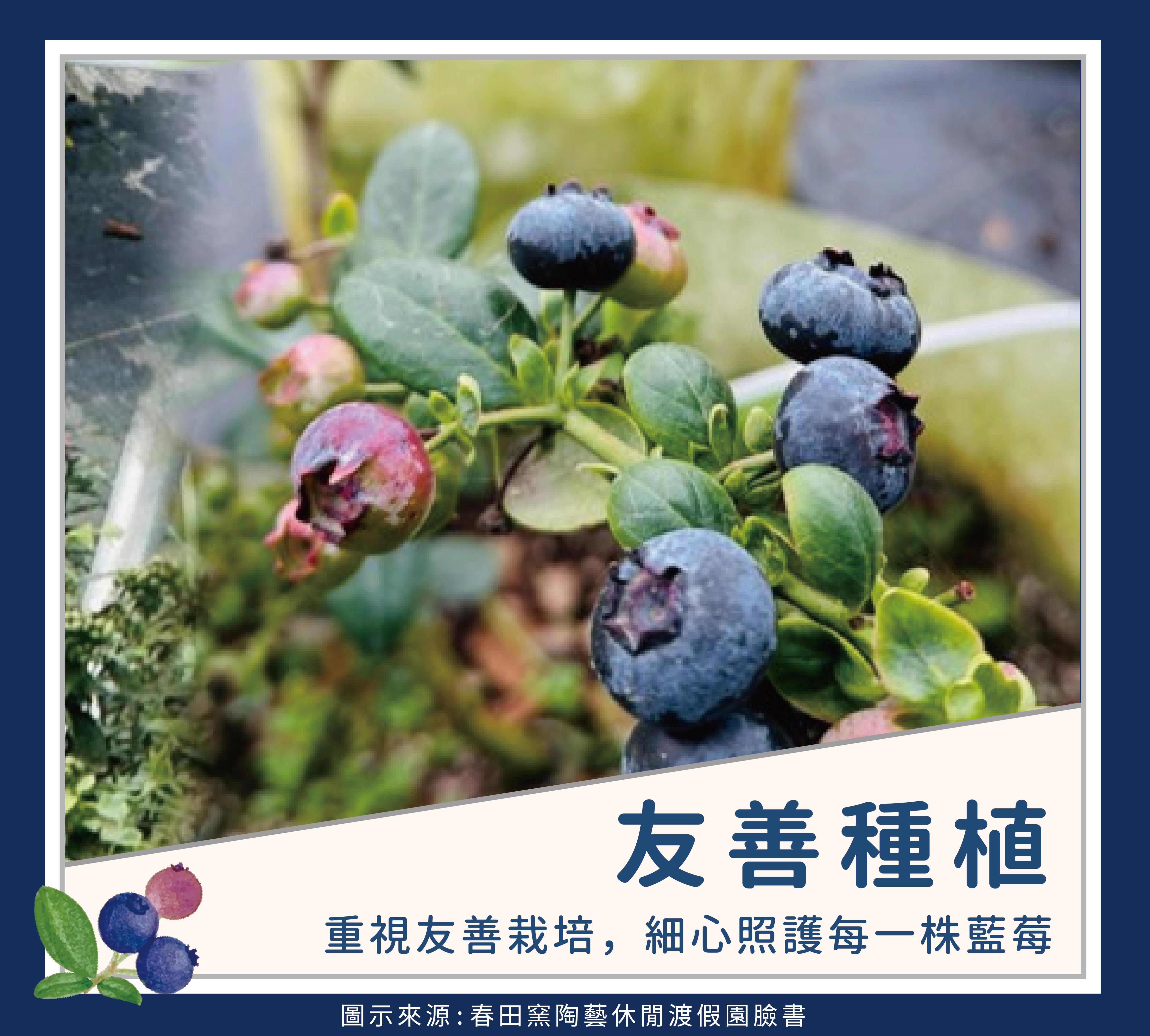 故事圖卡-23