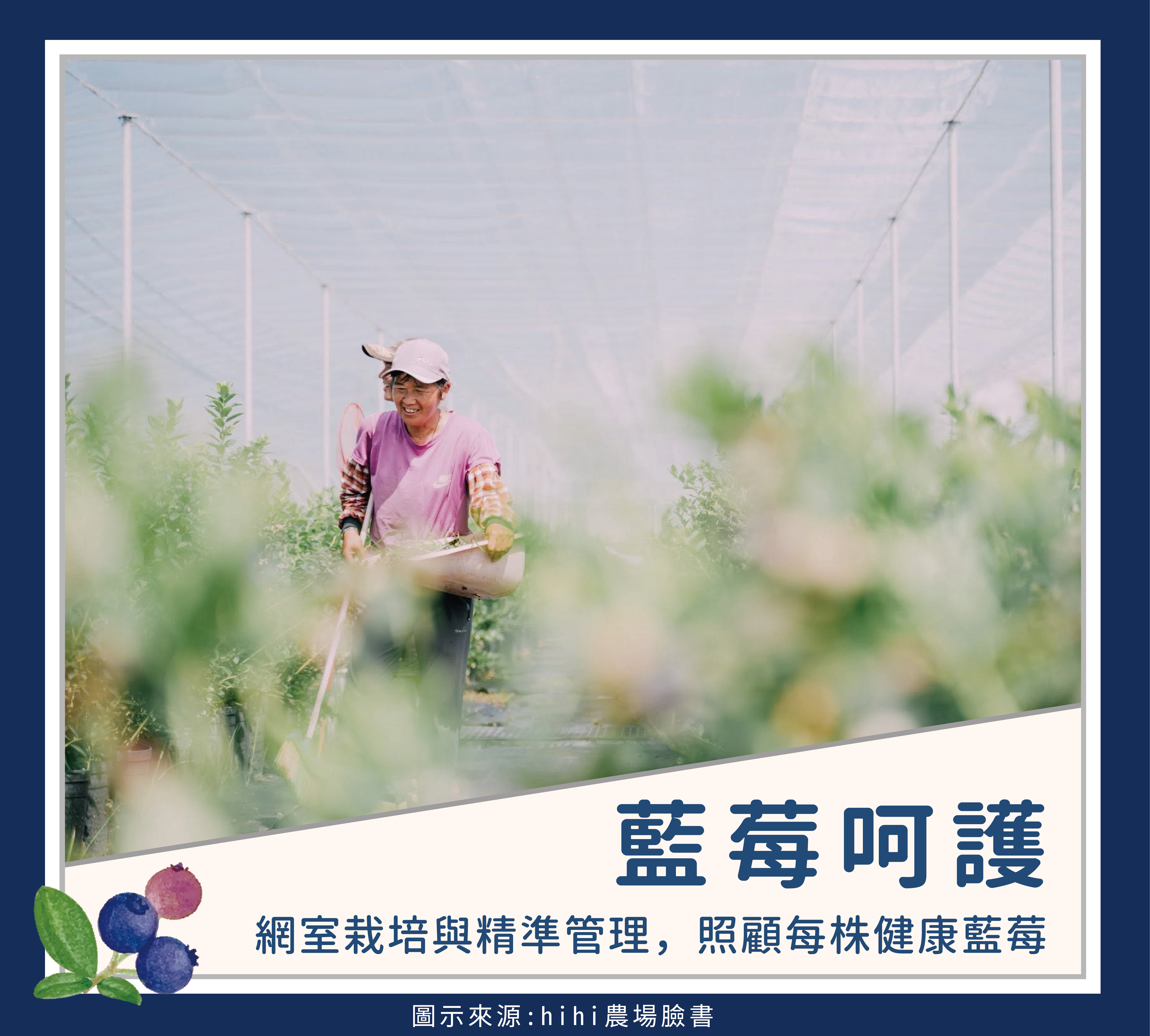故事圖卡-32