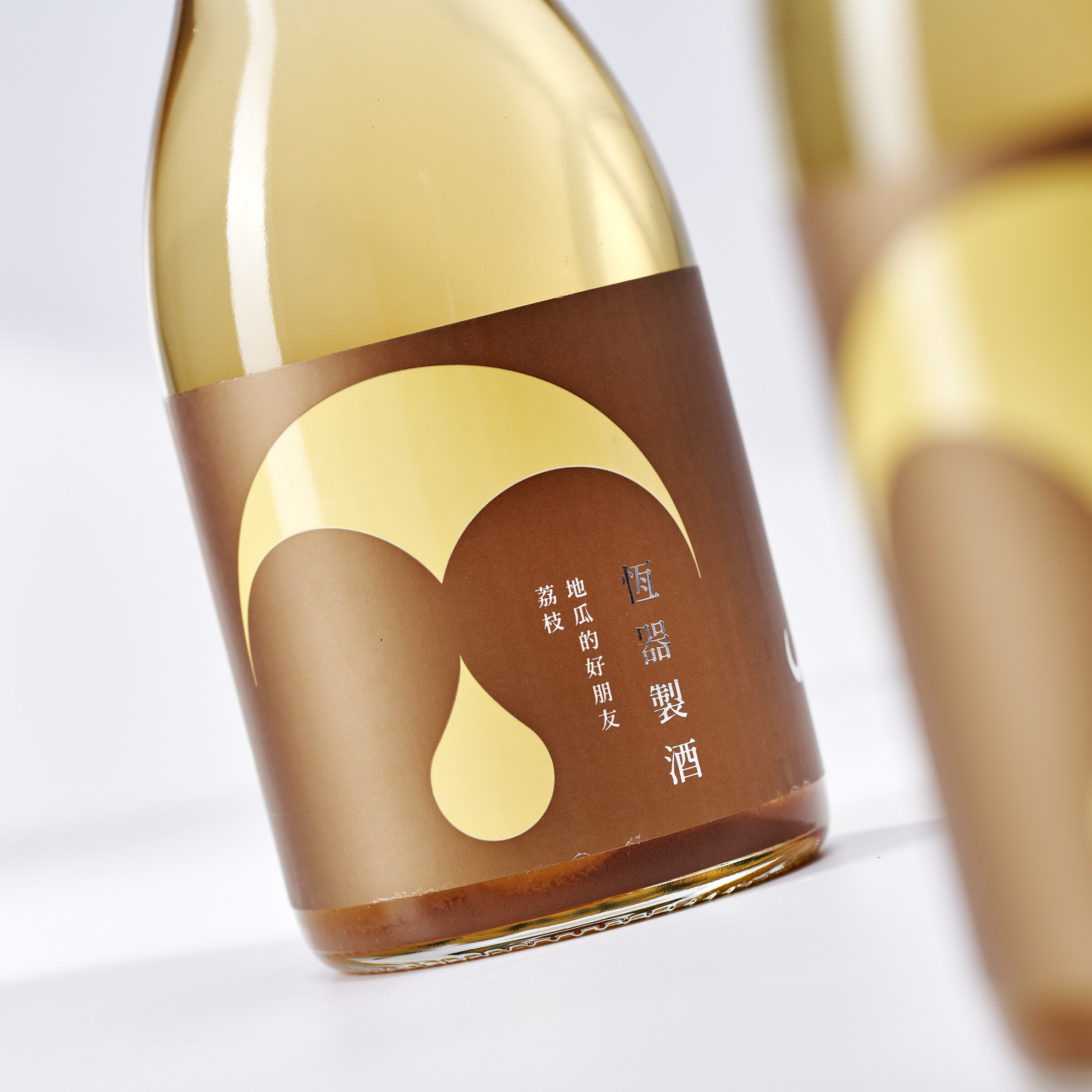 恆器100.jpg 的副本