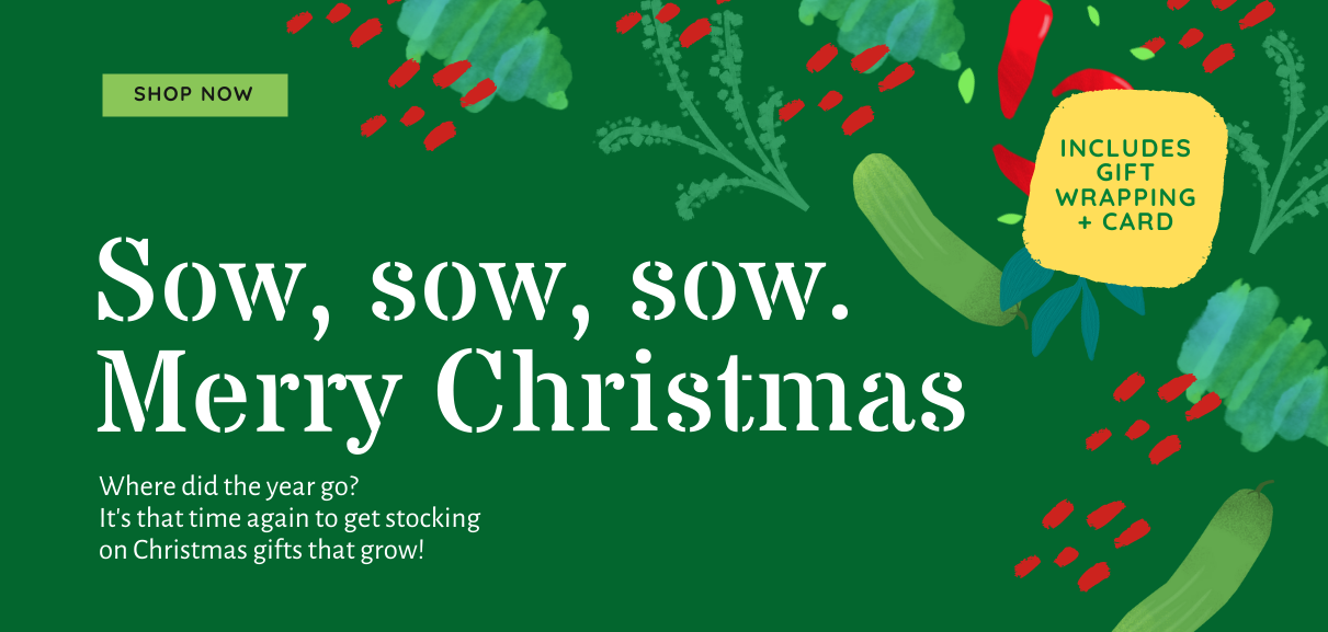 Sow sow sow, Merry Christmas!