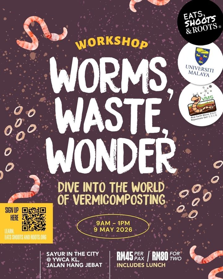 Into the Worm-hole