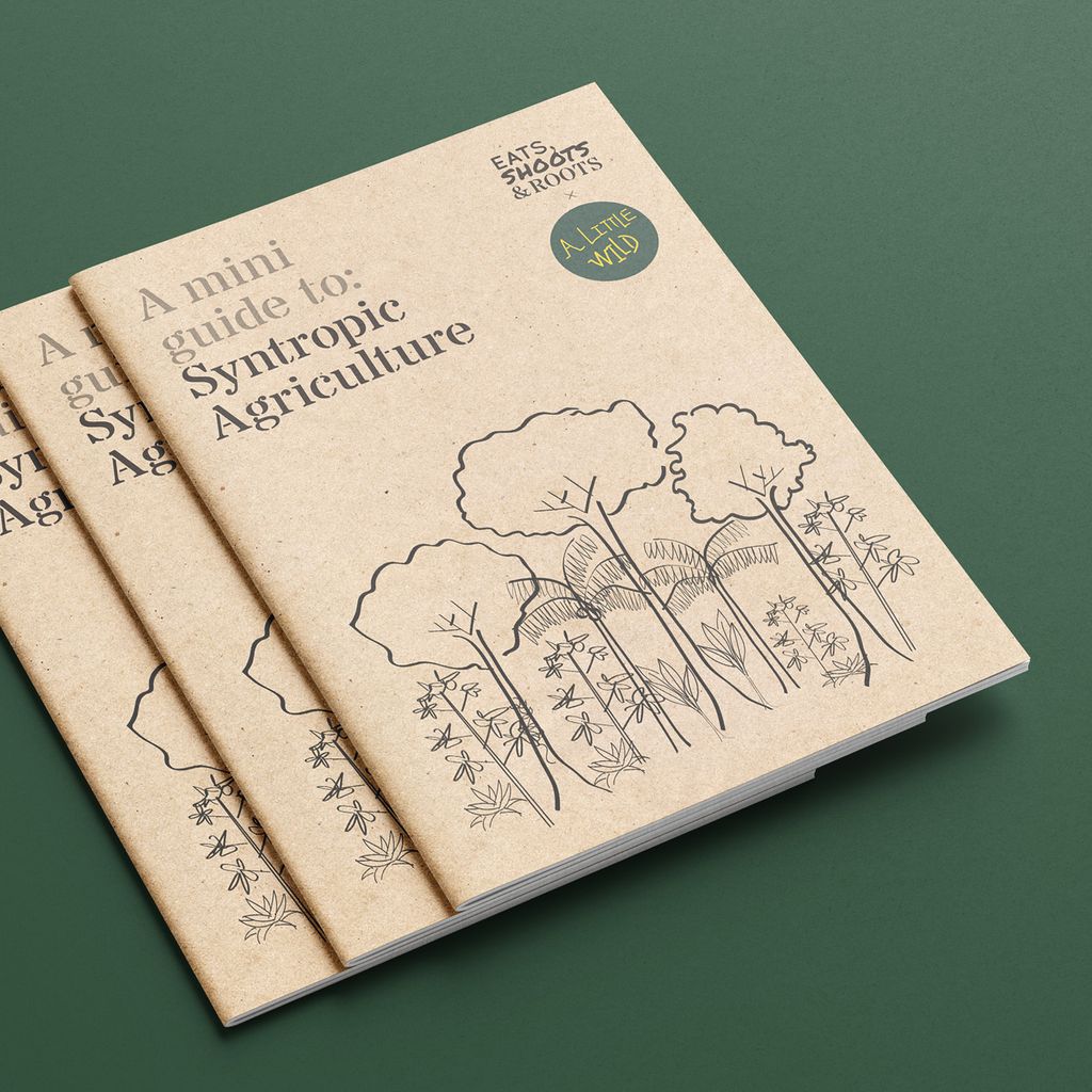 ESR Guides - Syntropic Agroforestry 250107 square