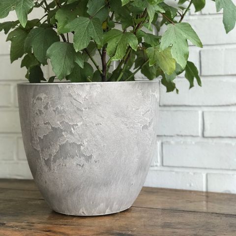 Pots - Silver M with Plants 3718.jpg