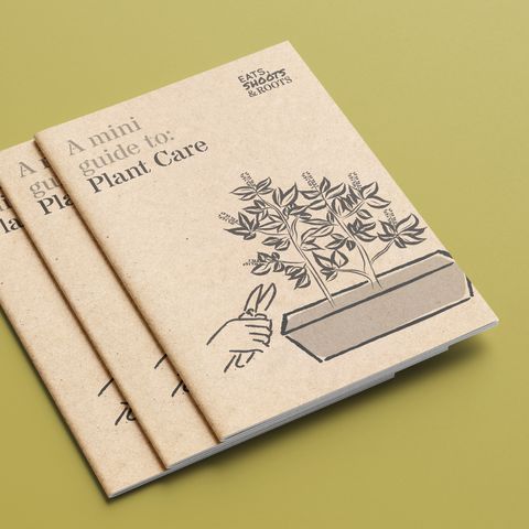 ESR Guides - Plant Care 210820 square.jpg