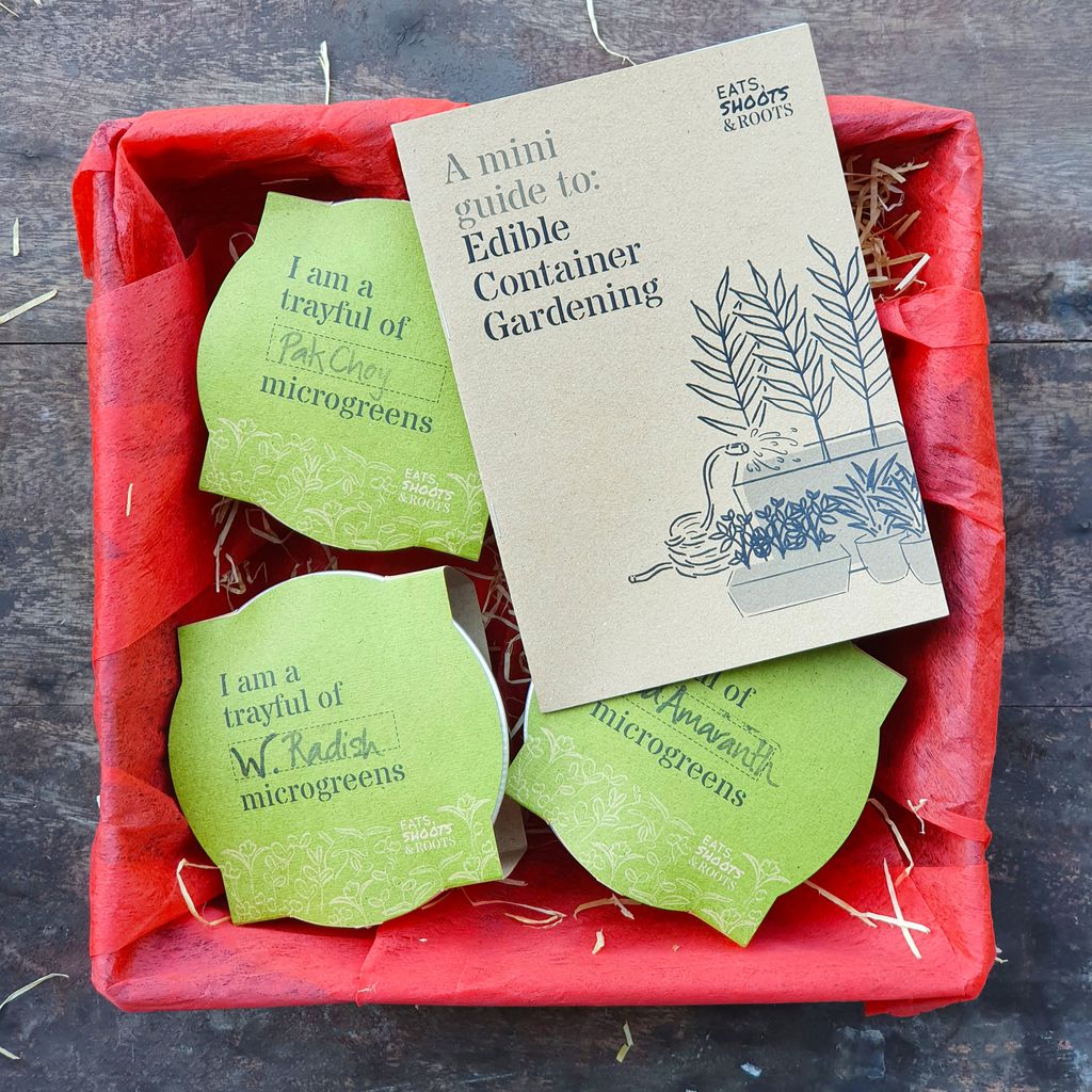 Hamper_3Microgreens_220113.jpg