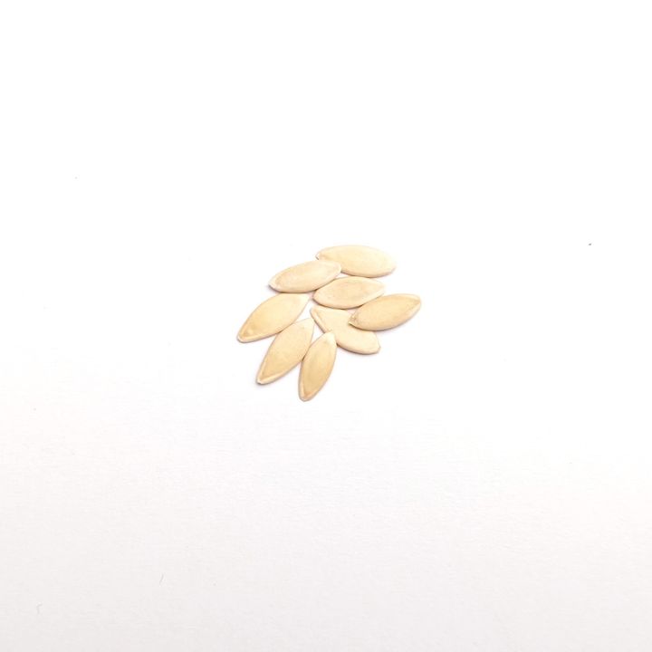 seeds_2022_Cucumber