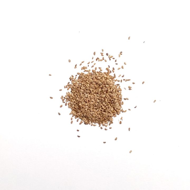 seeds_2022_Chinese Celery