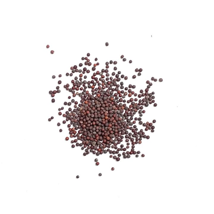 seeds_2022_Mustard Greens