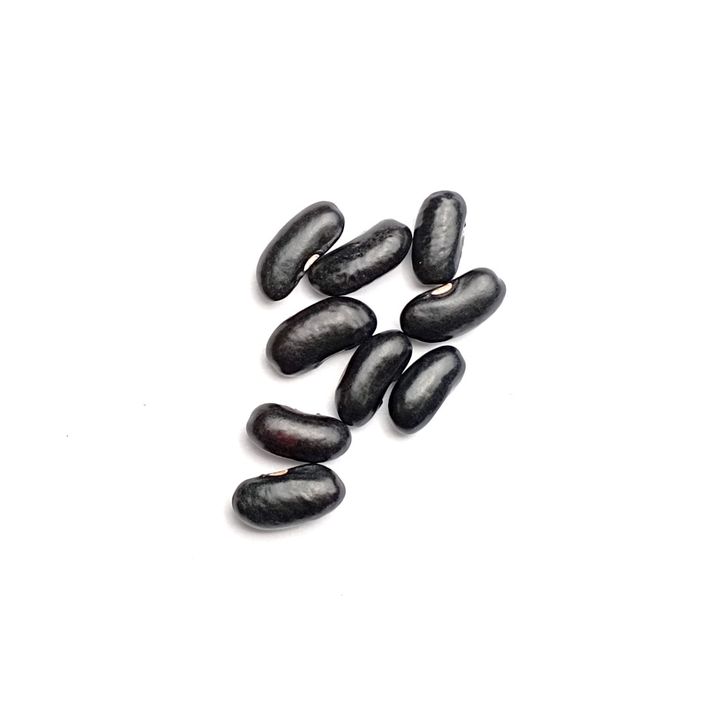 seeds_2022_Red Flower French Beans