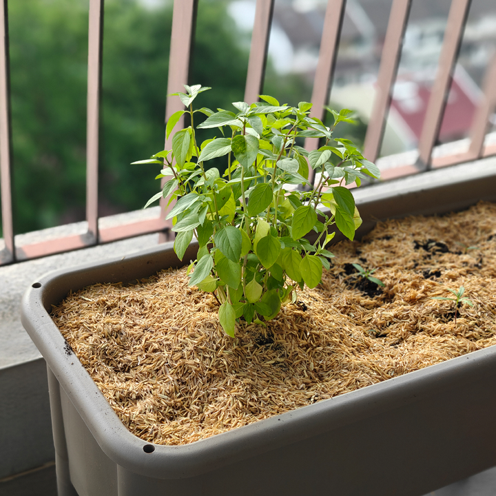 balcony planter kit_1