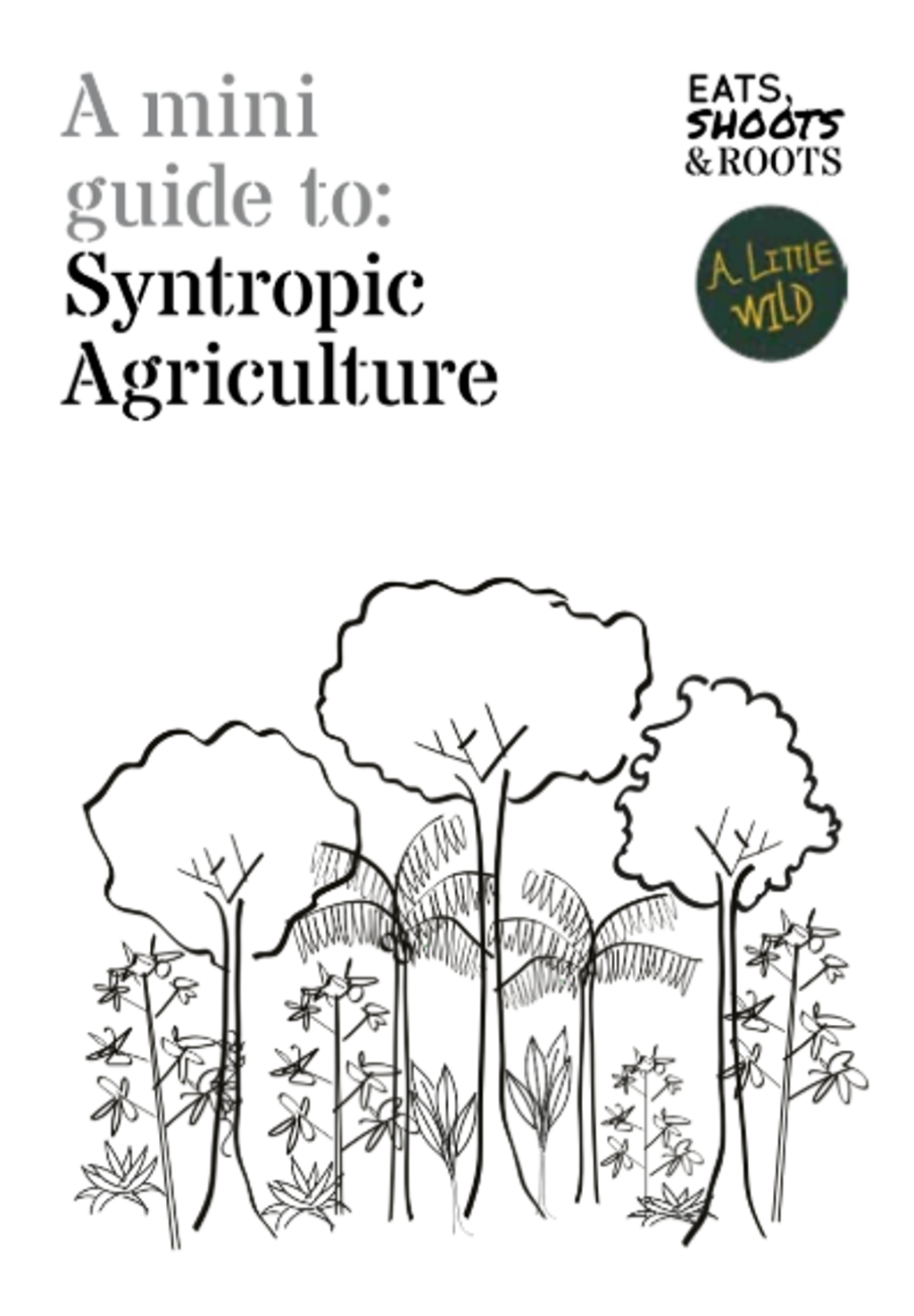 Screenshot 2026-02-13 164147