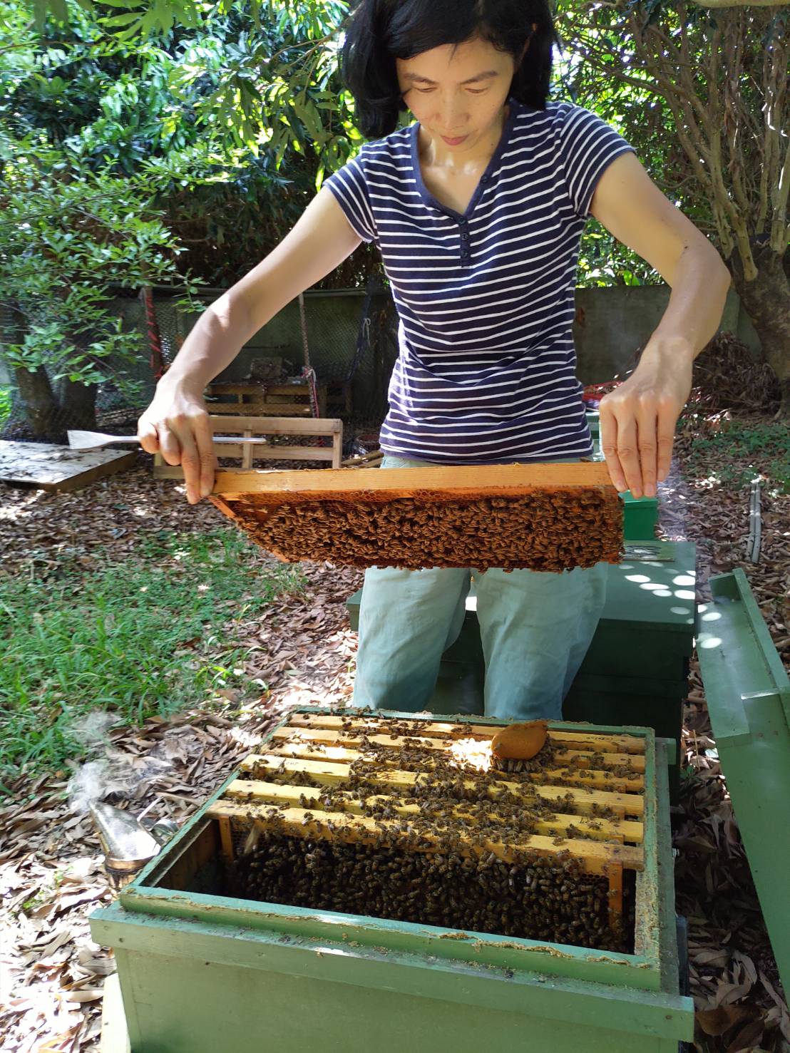 蜂蜜酒 台中蜂華700公克一瓶裝 葉美香蜂農 Alchema 智慧生活餐飲 廚房到餐桌的策展