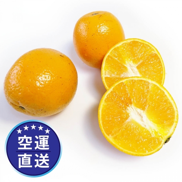 甜丁封面照.jpg
