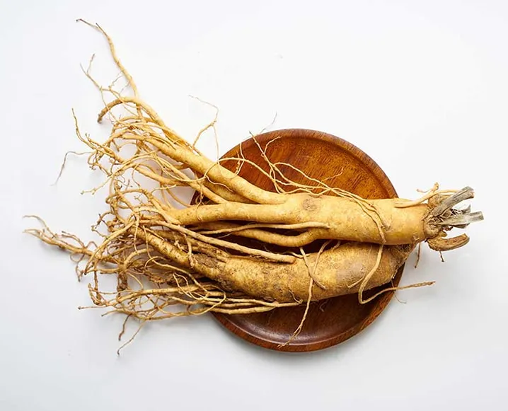 Ginseng