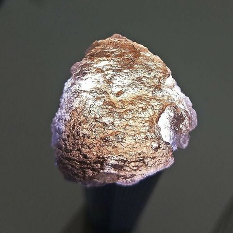 32563469