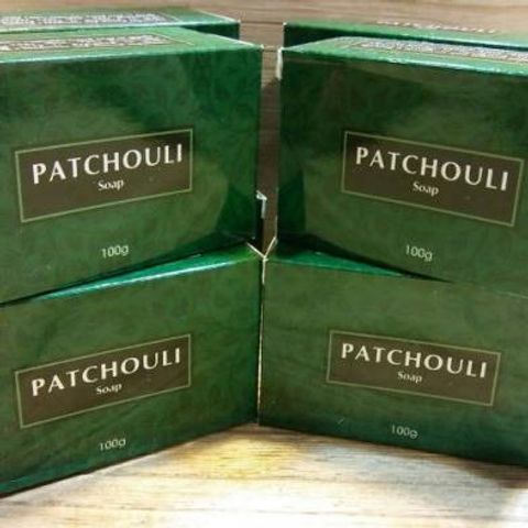 招財廣藿香-2 (Copy).jpg