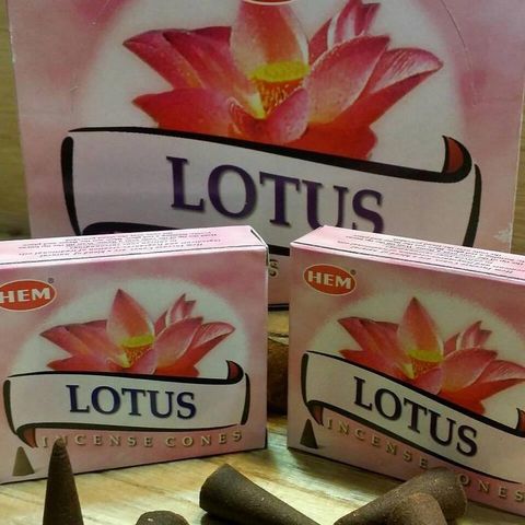 lotis