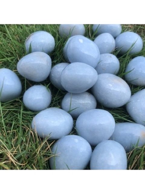 tw-11134207-7r98o-lxxhwvenj5t260