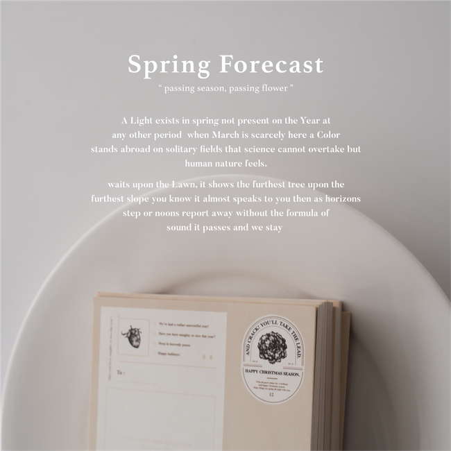 FITZORY |  - sping forecast