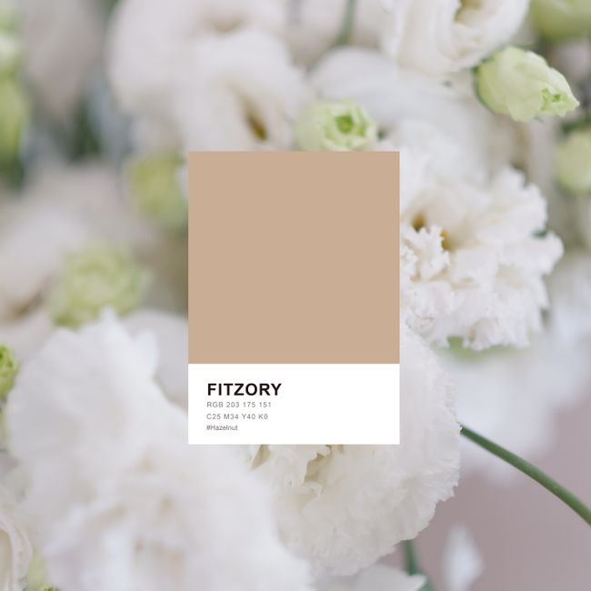 FITZORY |  - Custom / 客製化手機殼