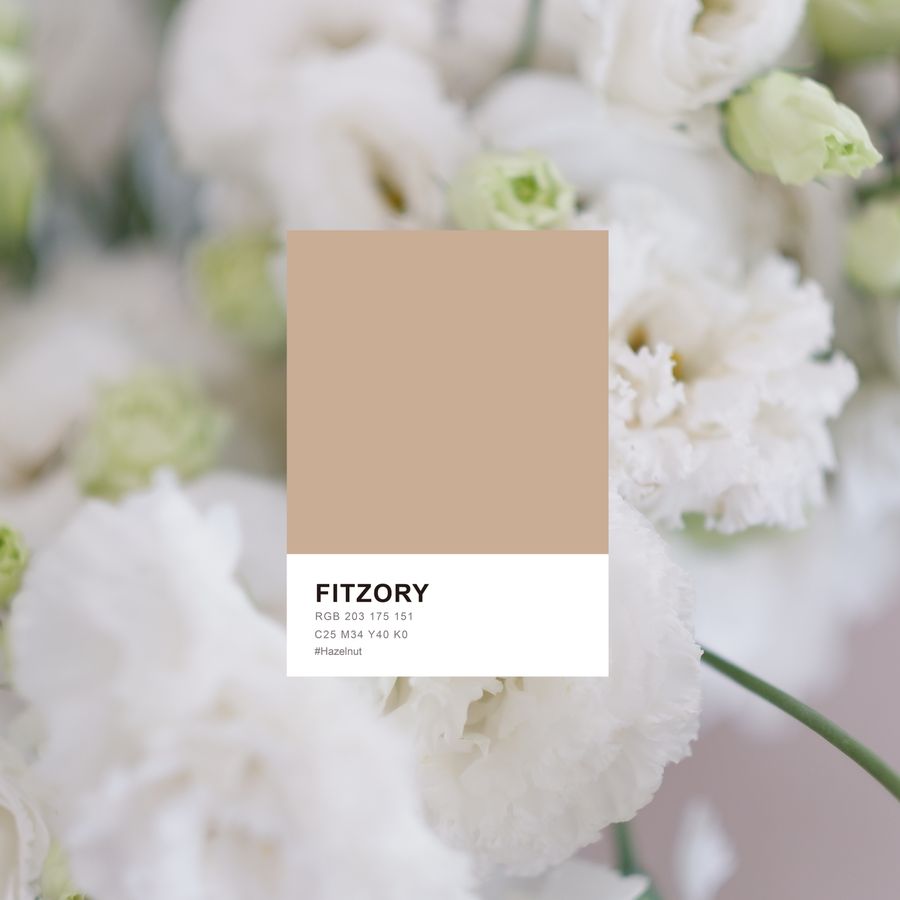FITZORY |  - Custom / 客製化手機殼