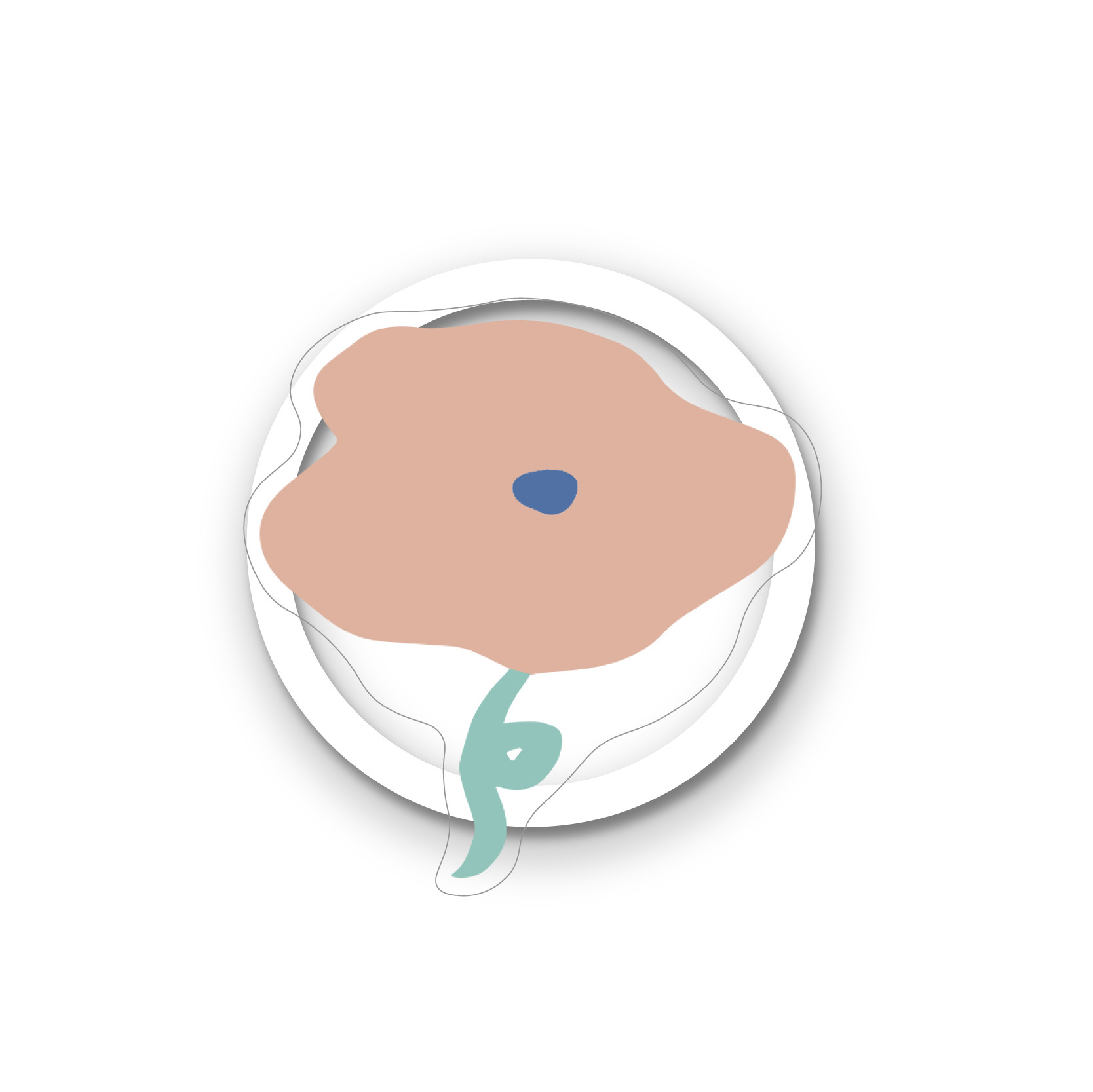 夏日植物園-支架上架_內文3