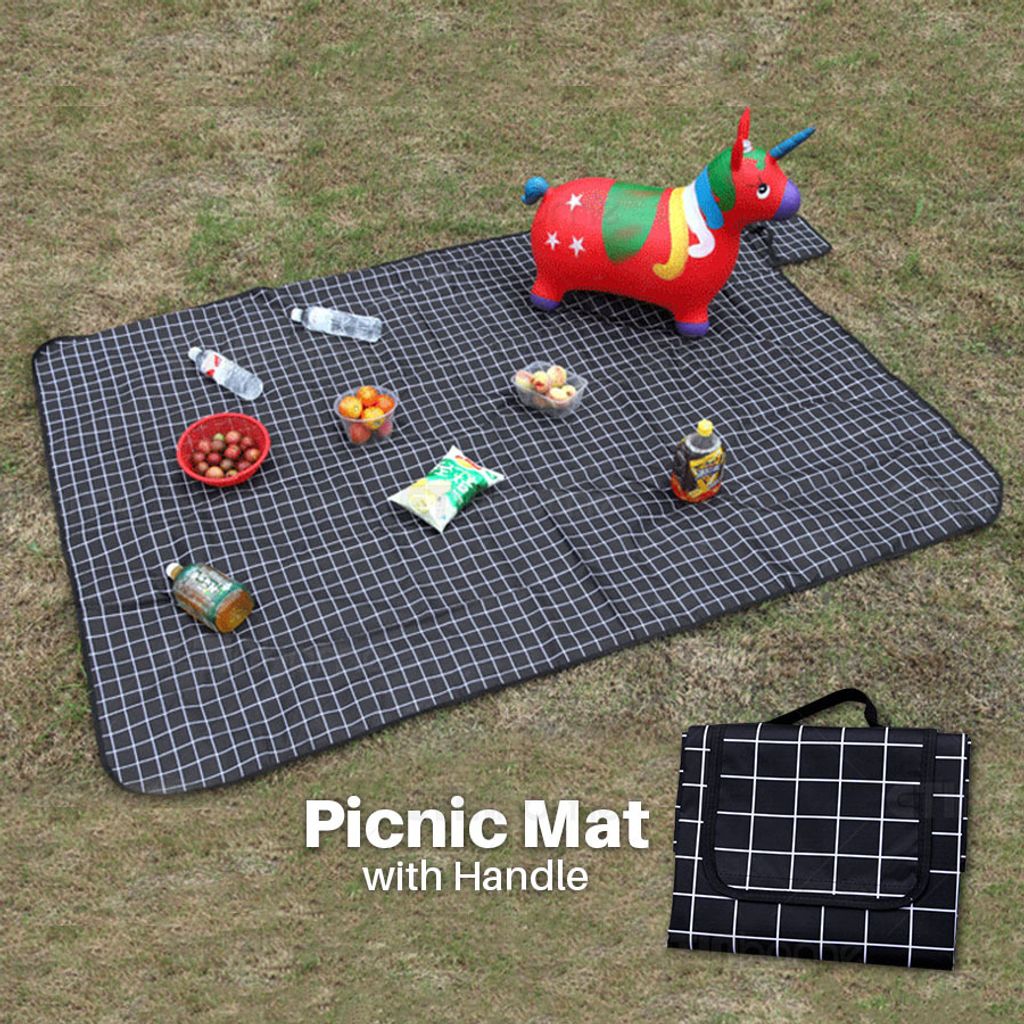Picnic Mat with Handle FB 01.jpg